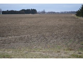 Property photo 11 - 175 Acres Offered in 5 Tracts - Tontogany, Ohio Farm Land Auction